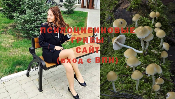 мет Семёнов