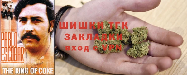 spice Алзамай