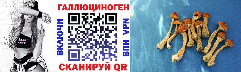 Галлюциногенные грибы ЛСД  Ковылкино 